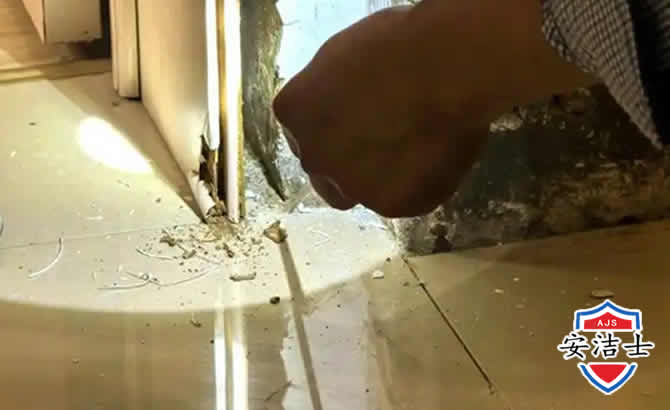 文昌房屋建筑防治白蚁