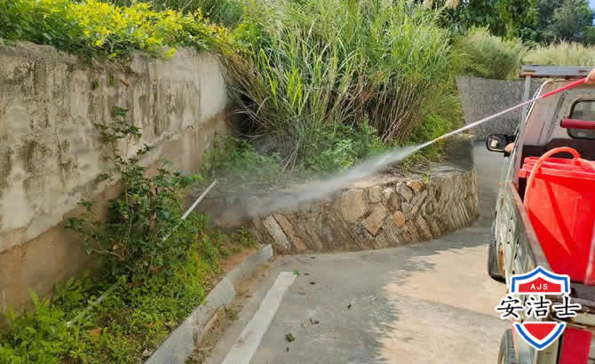 文昌道路堤坝白蚁防治