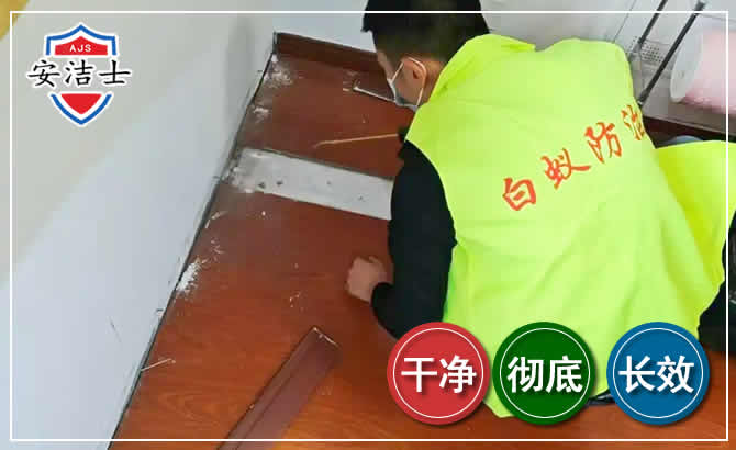 文昌除四害现场