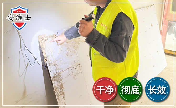 文昌除白蚁现场