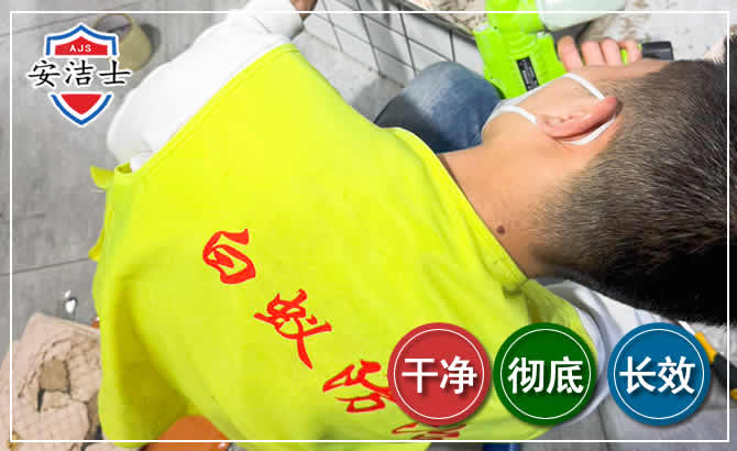 文昌白蚁根治现场